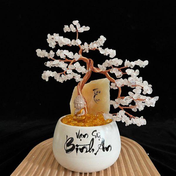 chậu cây thạch anh dáng bonsai