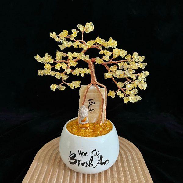 chậu cây thạch anh dáng bonsai