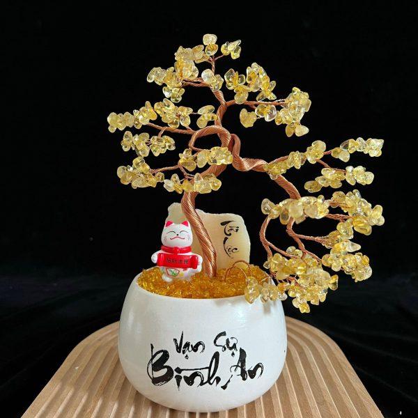 chậu cây thạch anh dáng bonsai