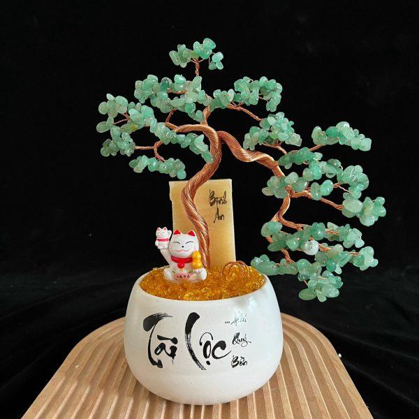 chậu cây thạch anh dáng bonsai