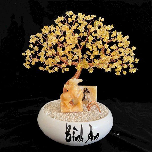 cây thạch anh tự nhiên