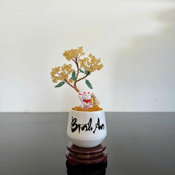 cây tài lộc đá thạch anh