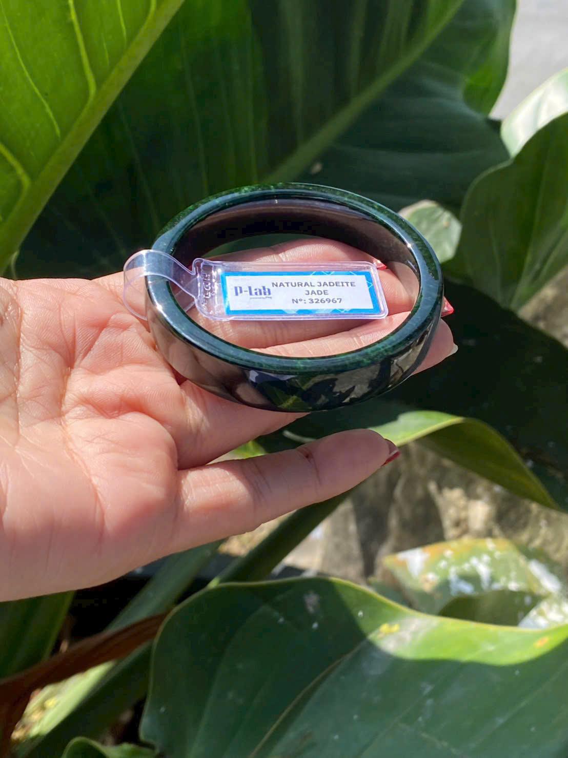 z7483285096805_68d53c7b7740ba2c3221424a35c515d1