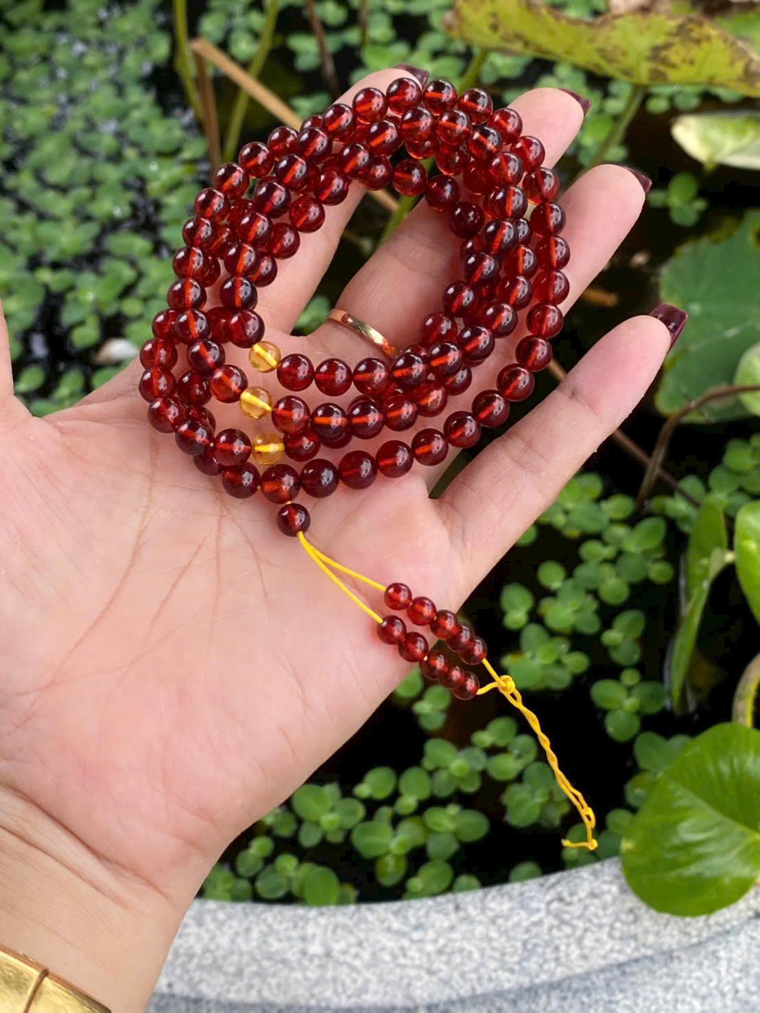 z7586384923747_ce1e71be59b97672a713227be7d9b4c0