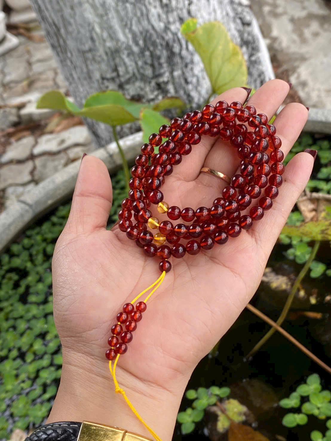 z7586384923799_0d7d8b2797127dcc6d82abae715f504a