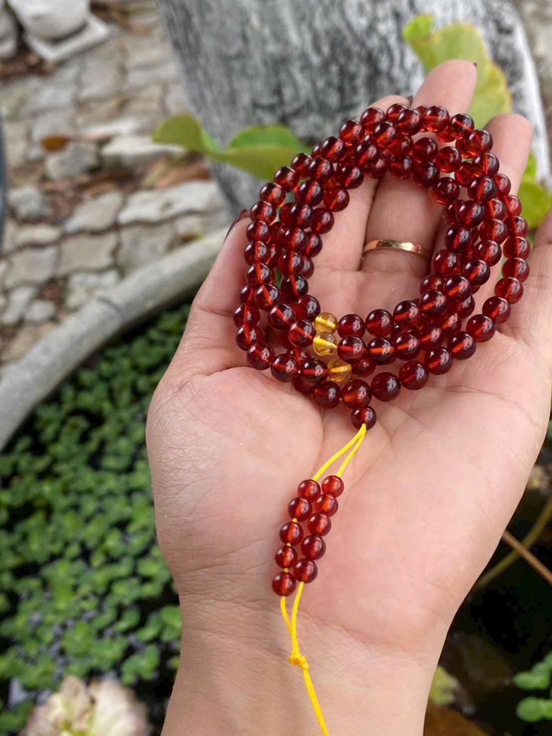 z7586384923800_4c9885171ed3e10ded448abfd7f13799